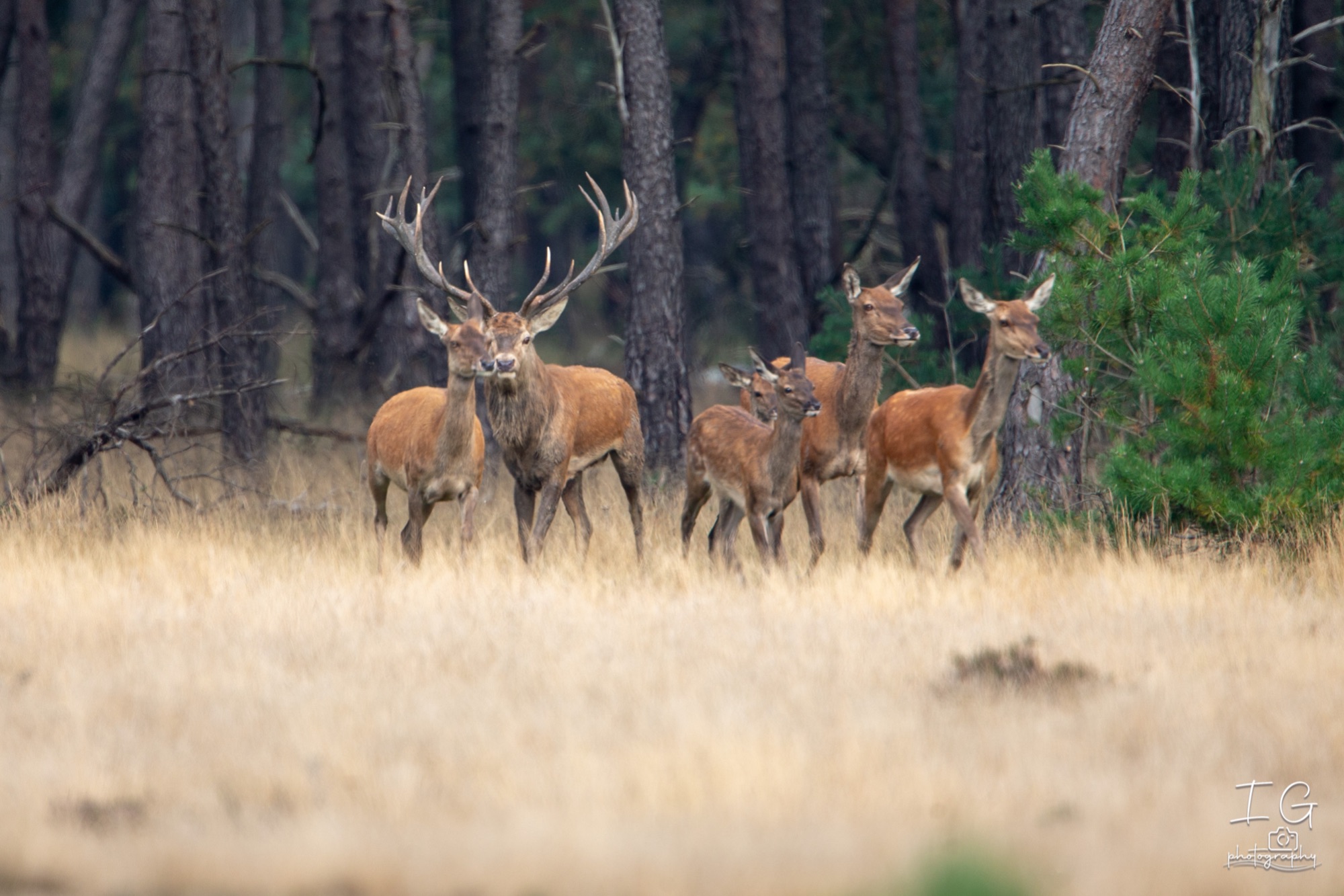  1DX9302 210925 16 29 29