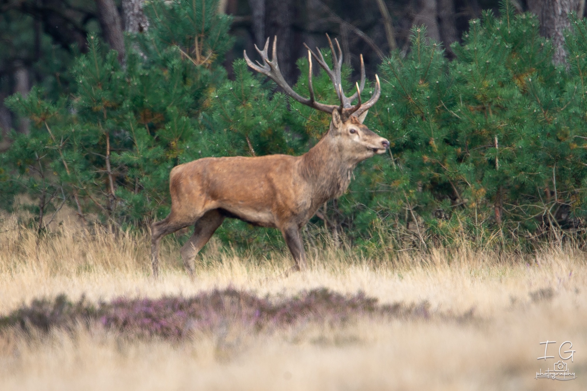  1DX9303 210925 16 29 40