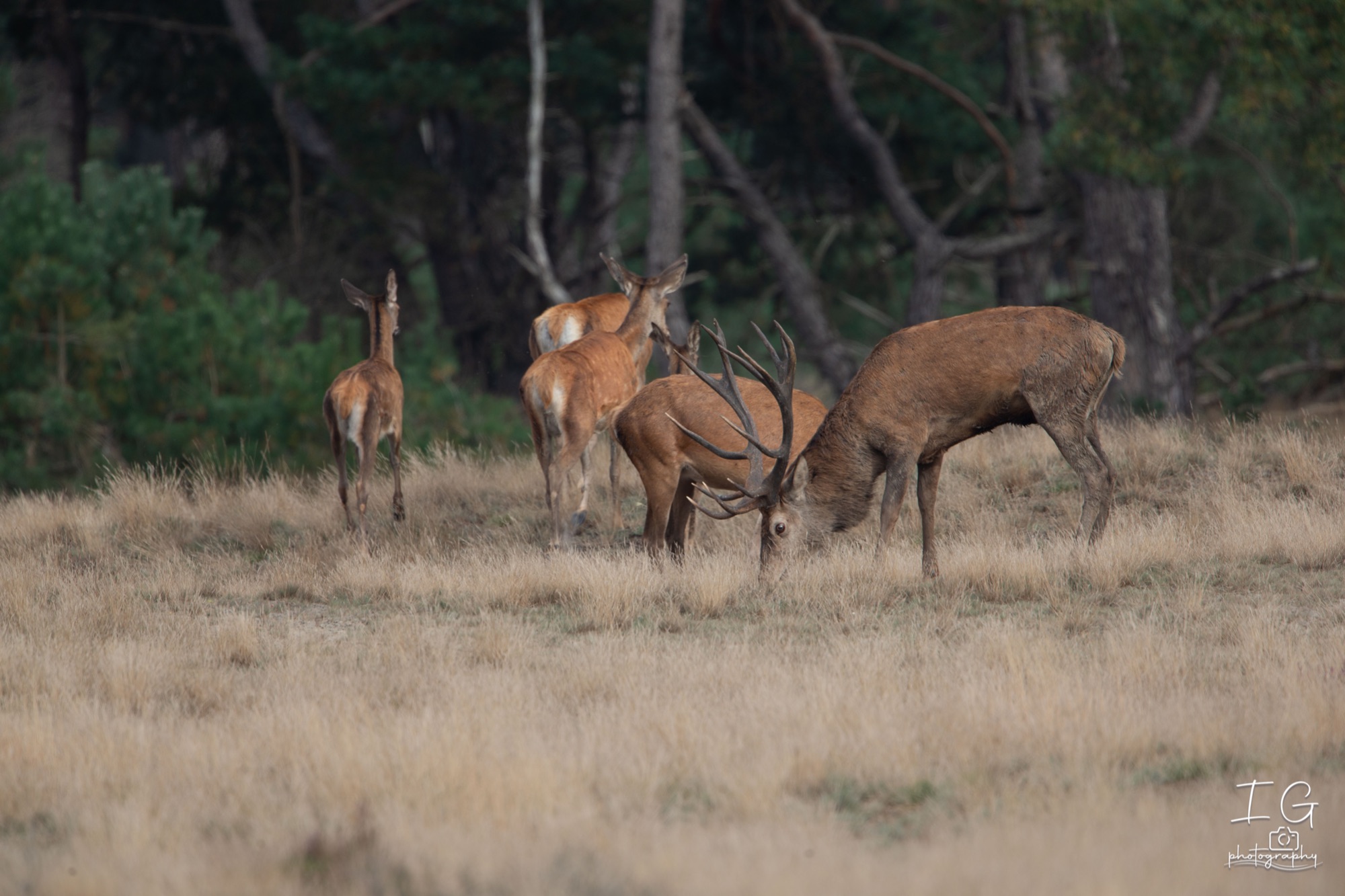  1DX9307 210925 16 31 07