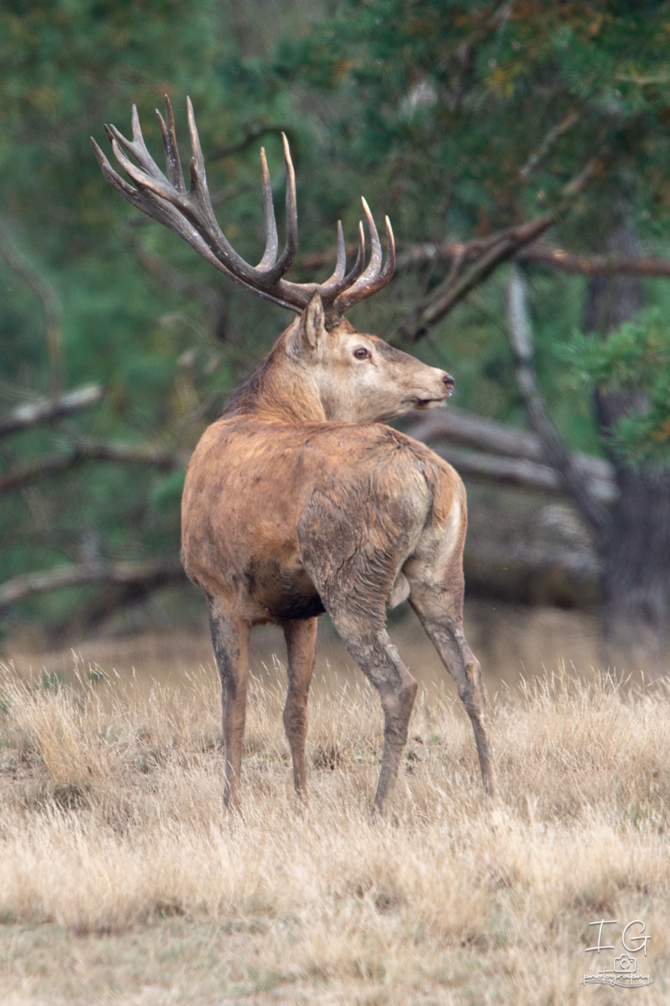  1DX9311 210925 16 39 20