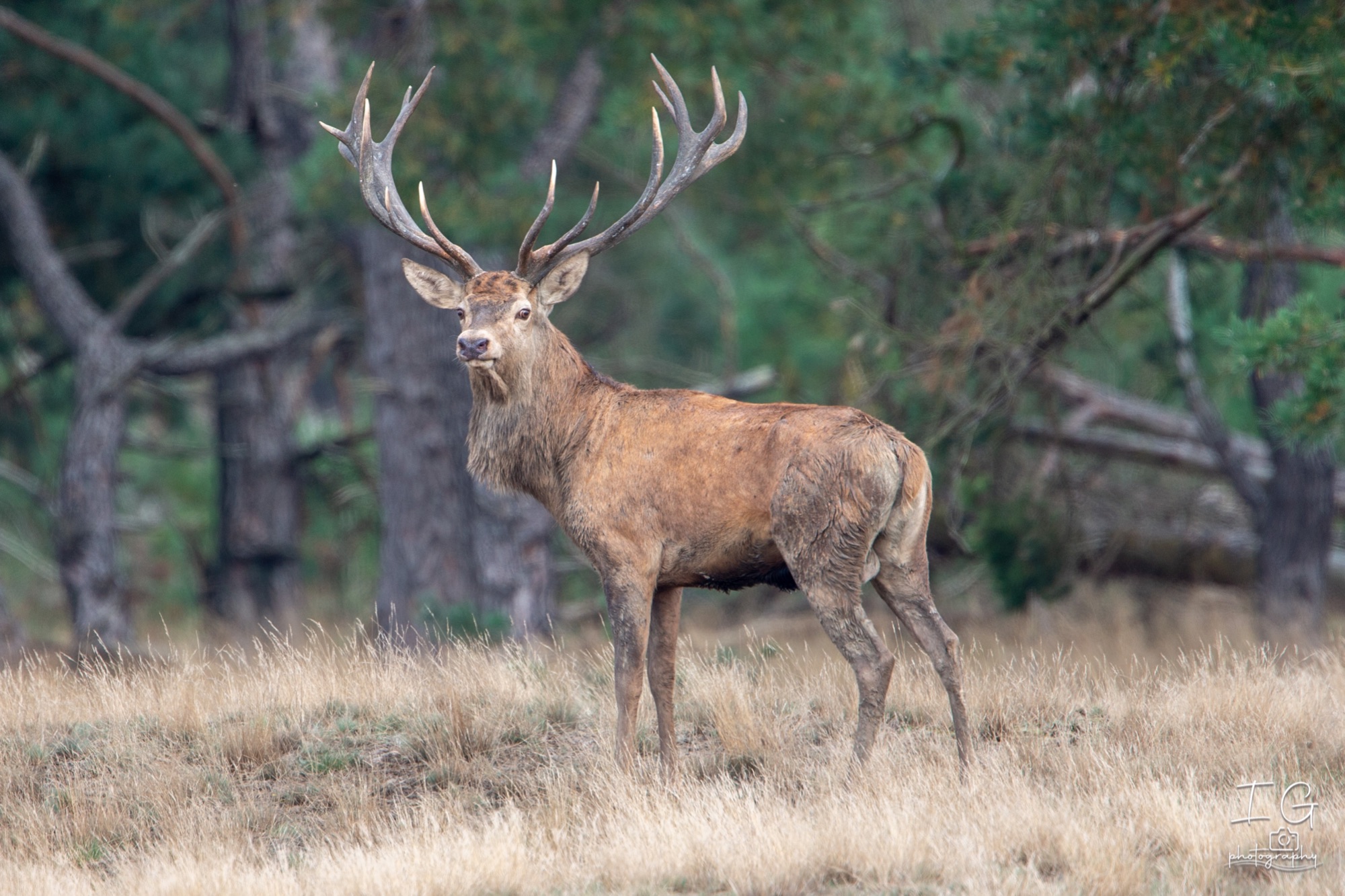  1DX9313 210925 16 39 27