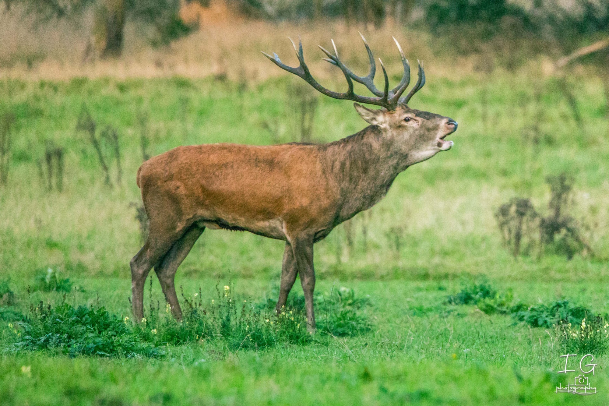  5D48020 210924 19 07 11