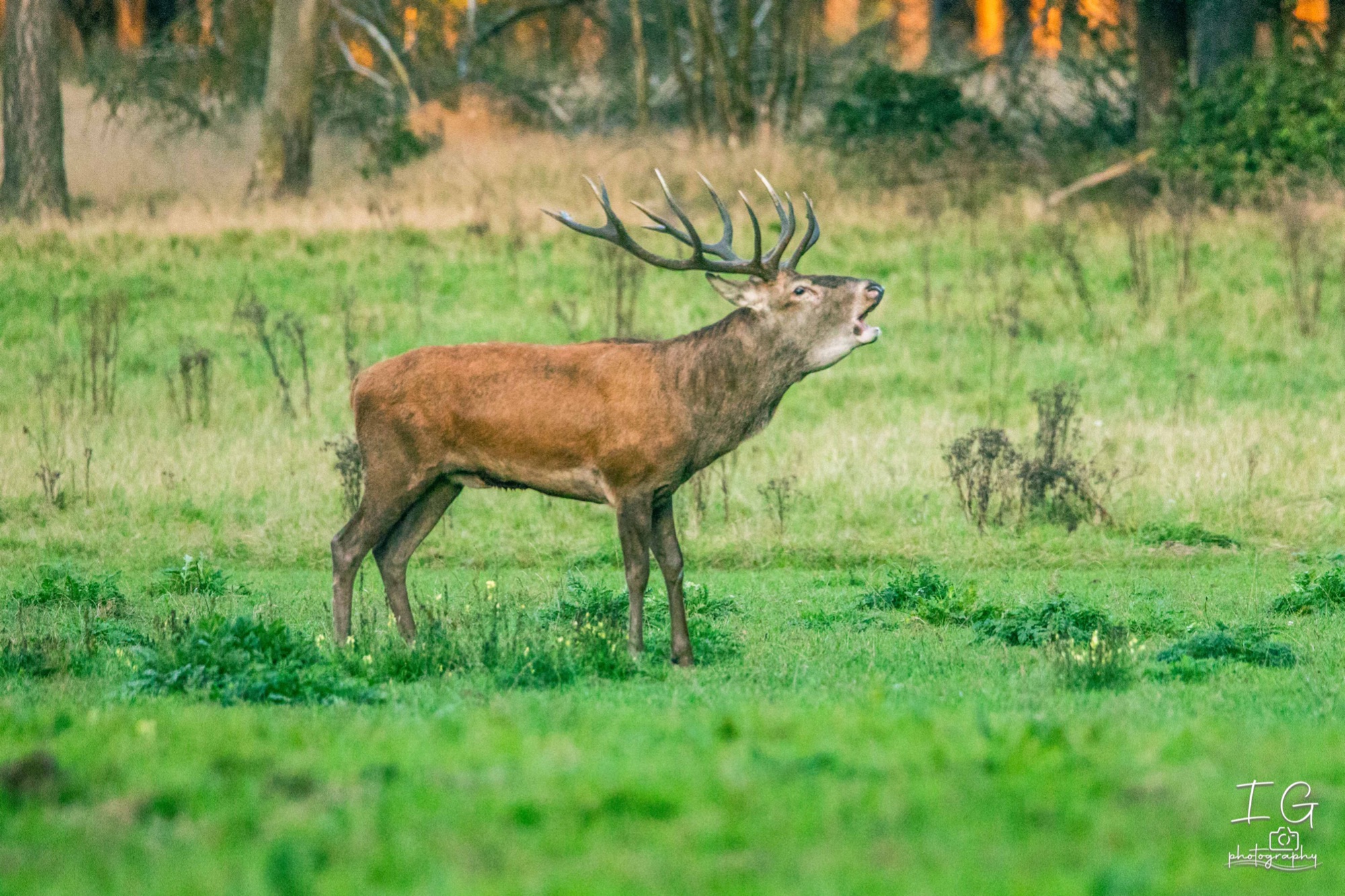  5D48021 210924 19 07 13