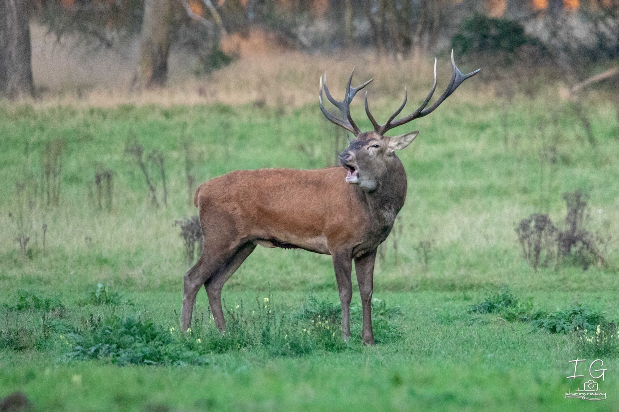  5D48026 210924 19 07 18