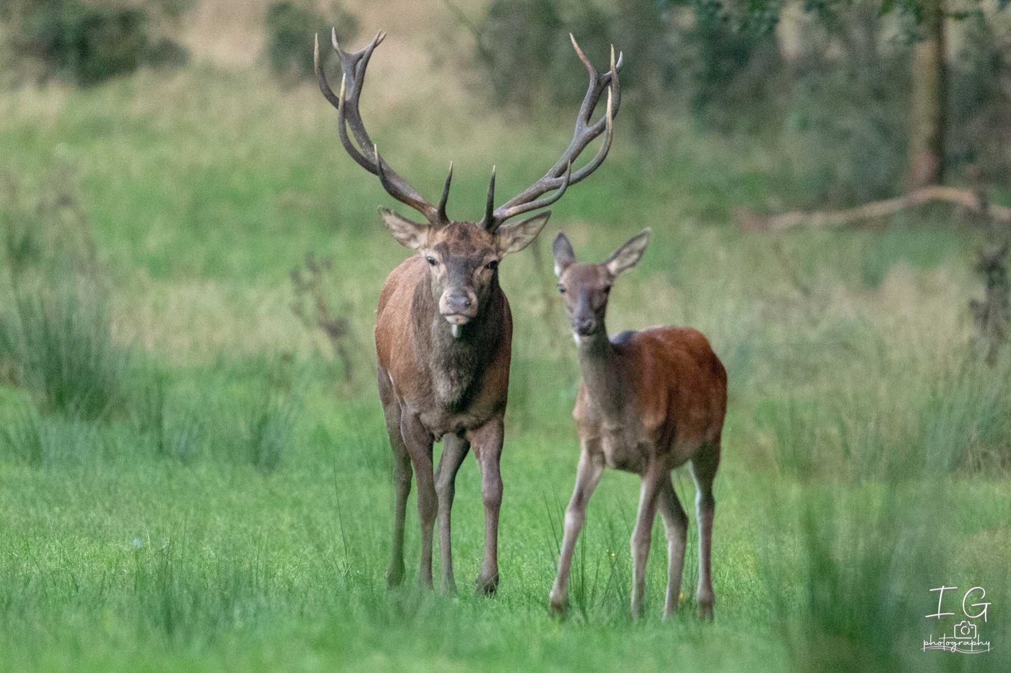  5D48040 210924 19 09 24