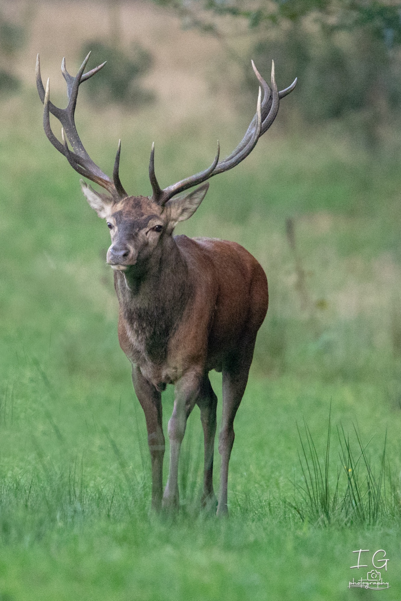  5D48042 210924 19 09 31