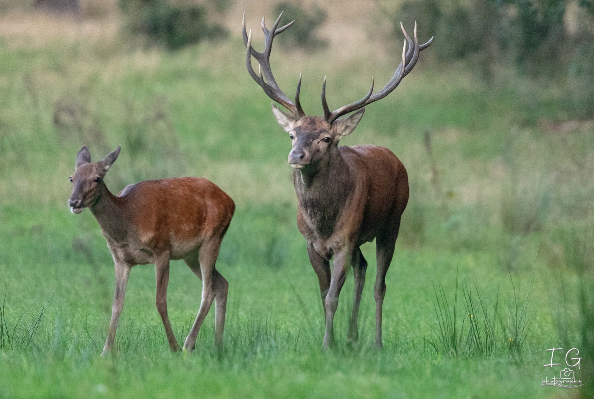  5D48043 210924 19 09 31