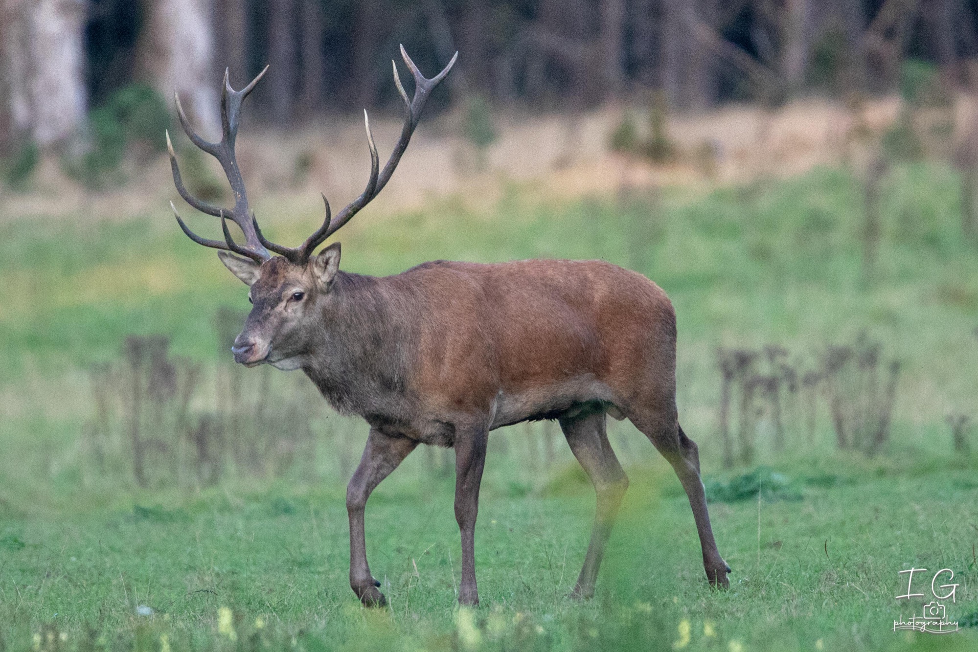  5D48064 210924 19 13 53