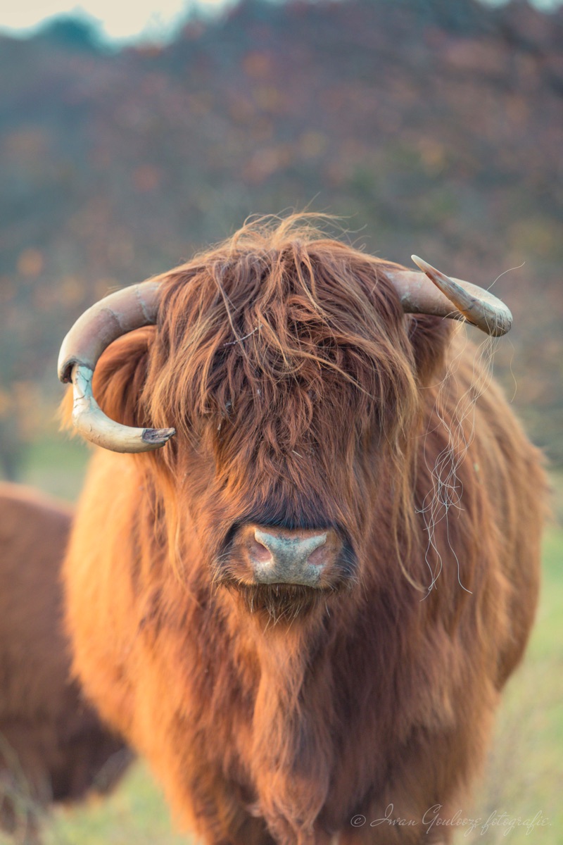 2Y6A0484 201125 16 09 24