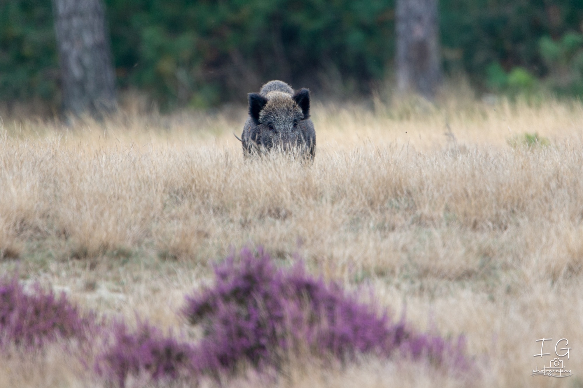  1DX9332 210925 16 58 58