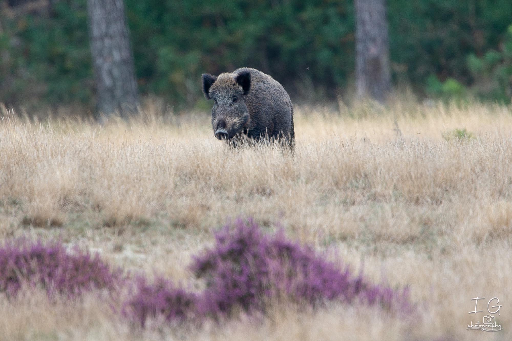  1DX9334 210925 16 59 00