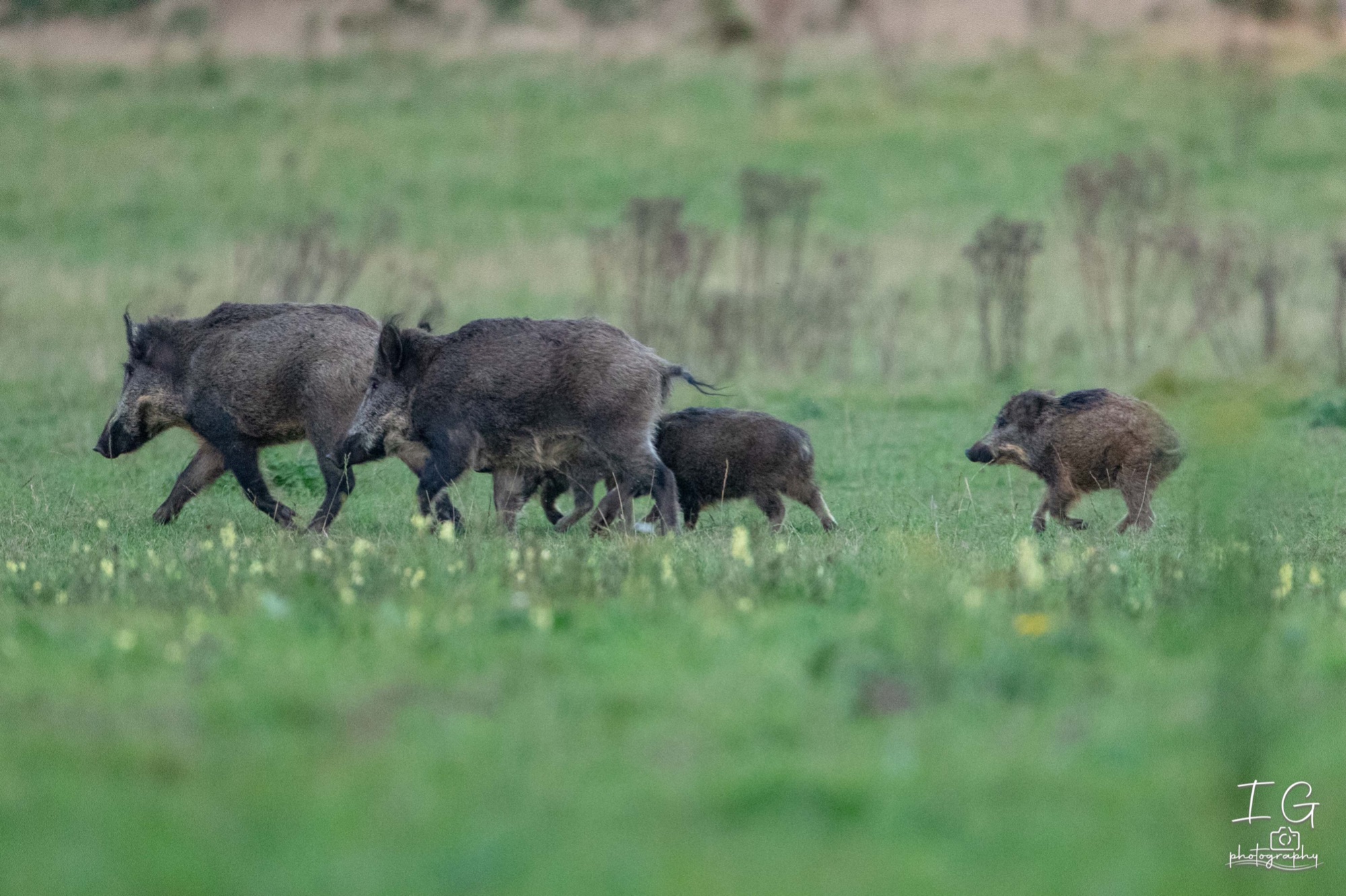  5D48073 210924 19 15 04