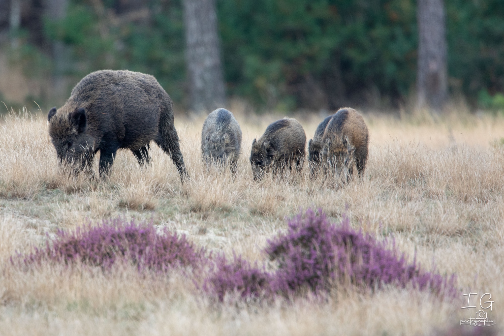  5D48144 210925 17 21 16