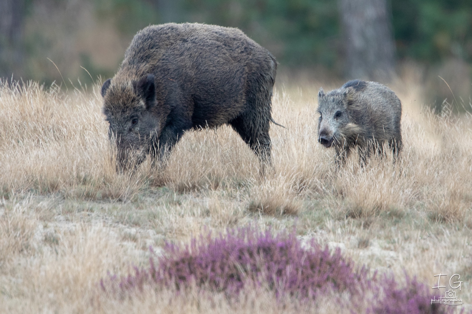  5D48146 210925 17 21 18