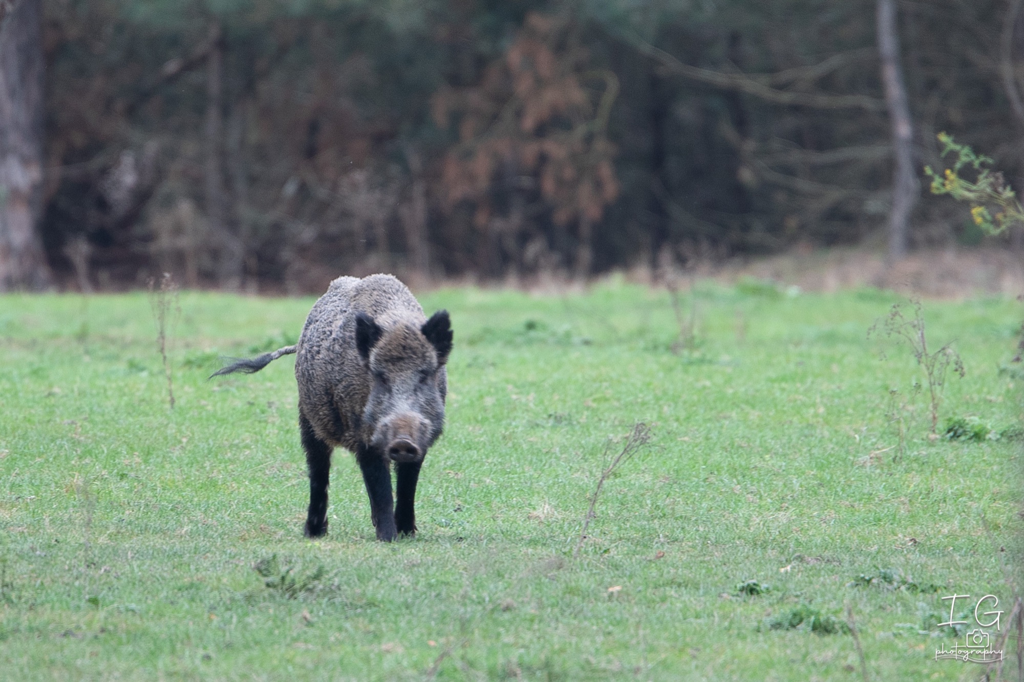  5D48186 210925 18 13 31