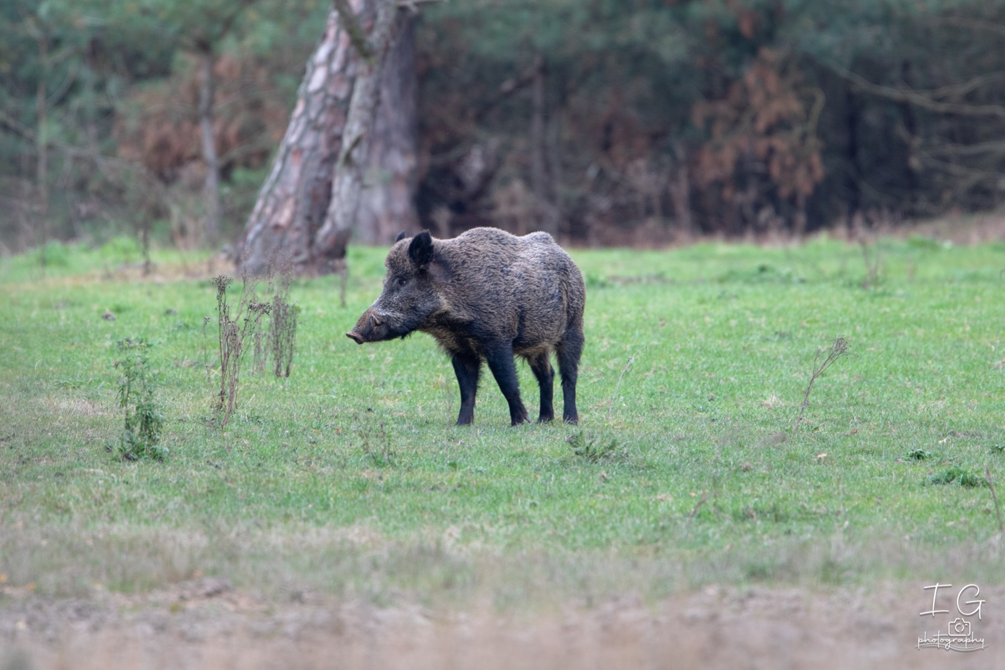  5D48191 210925 18 13 43