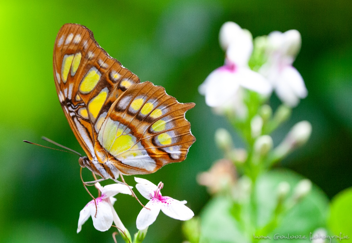 IMG 1720190530131341