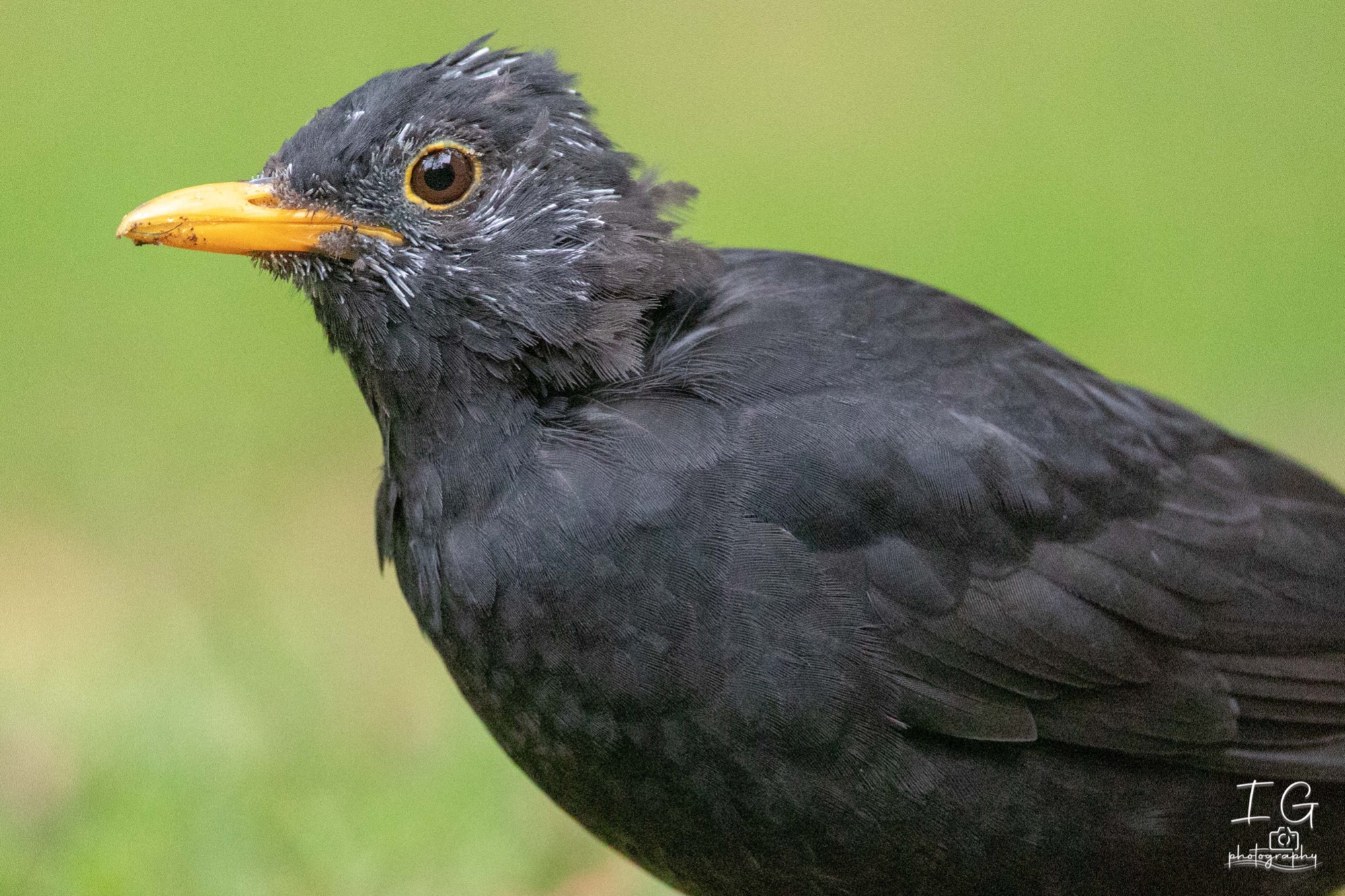  5D48106 210925 11 13 08