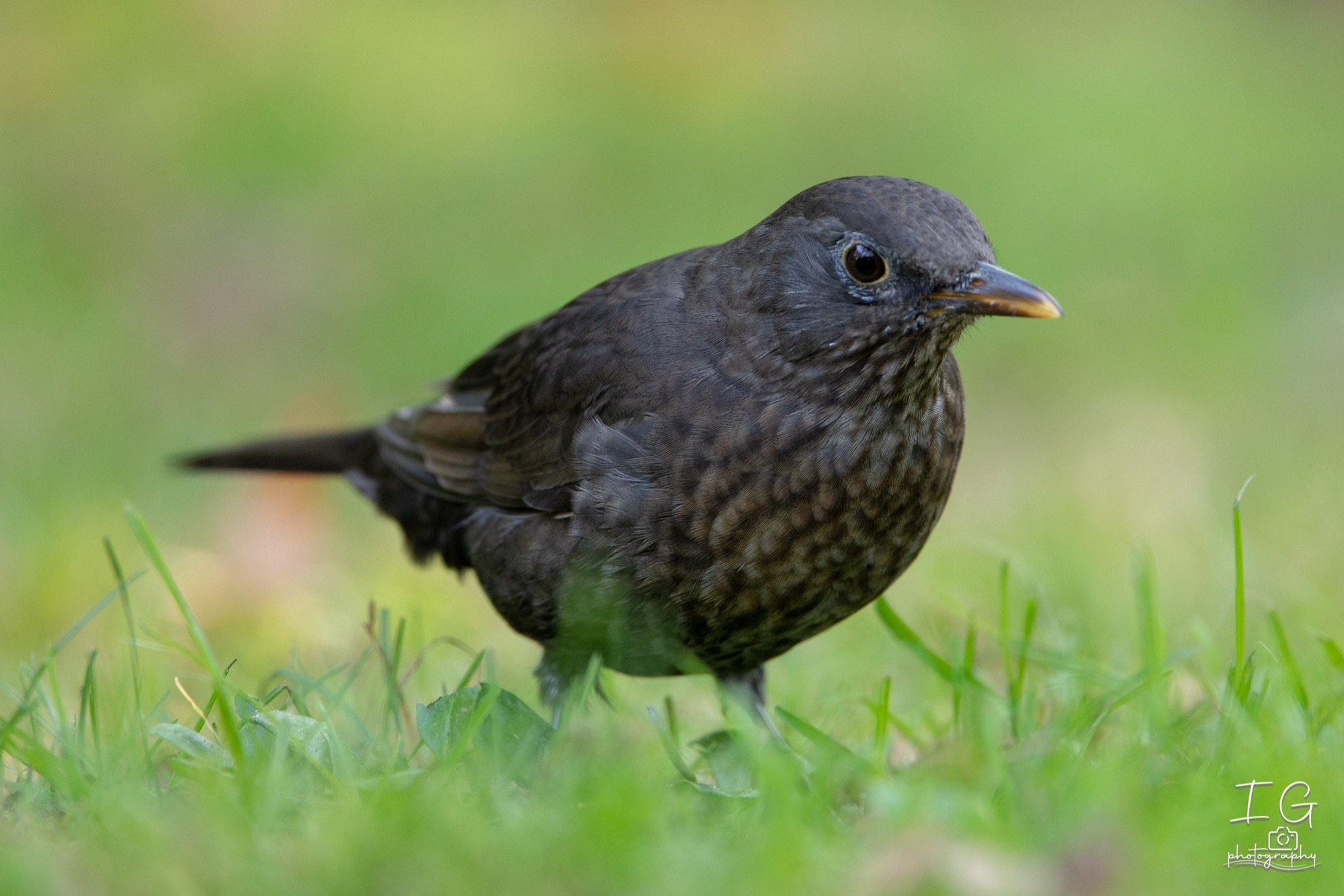  5D48224 210926 12 10 33