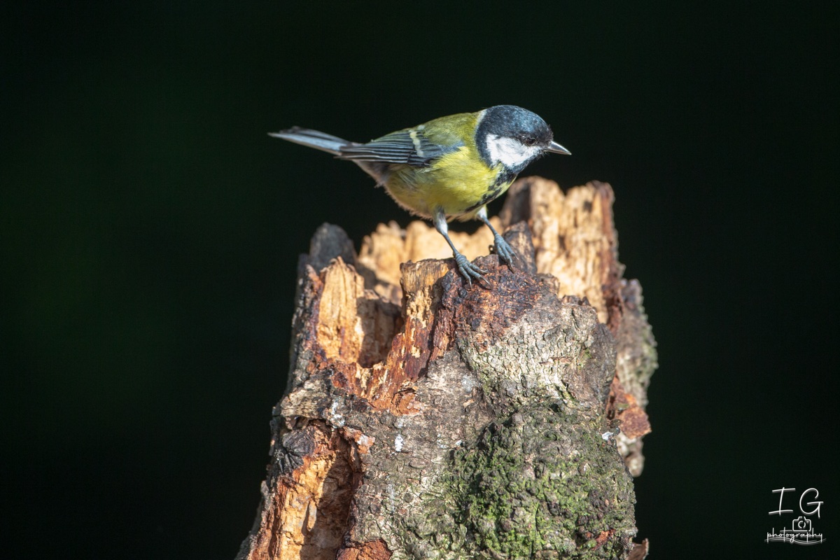  1DX9415 210927 09 46 21