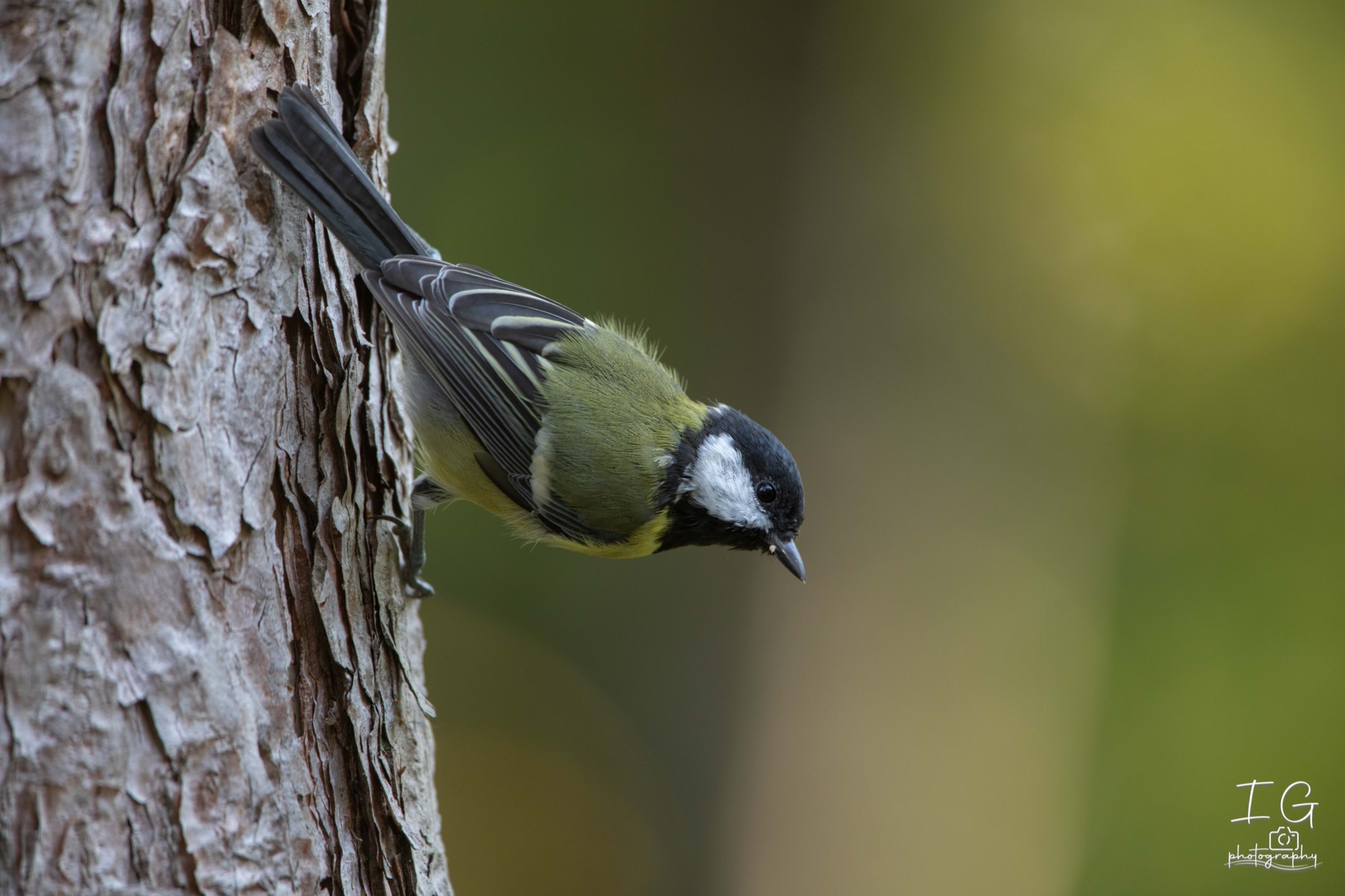  5D48211 210926 12 06 06 2