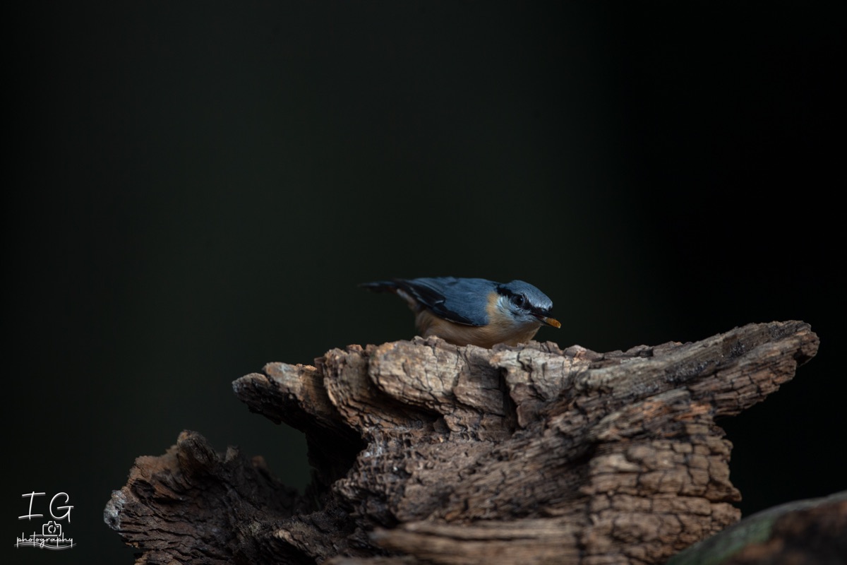  1DX9412 210927 09 42 13