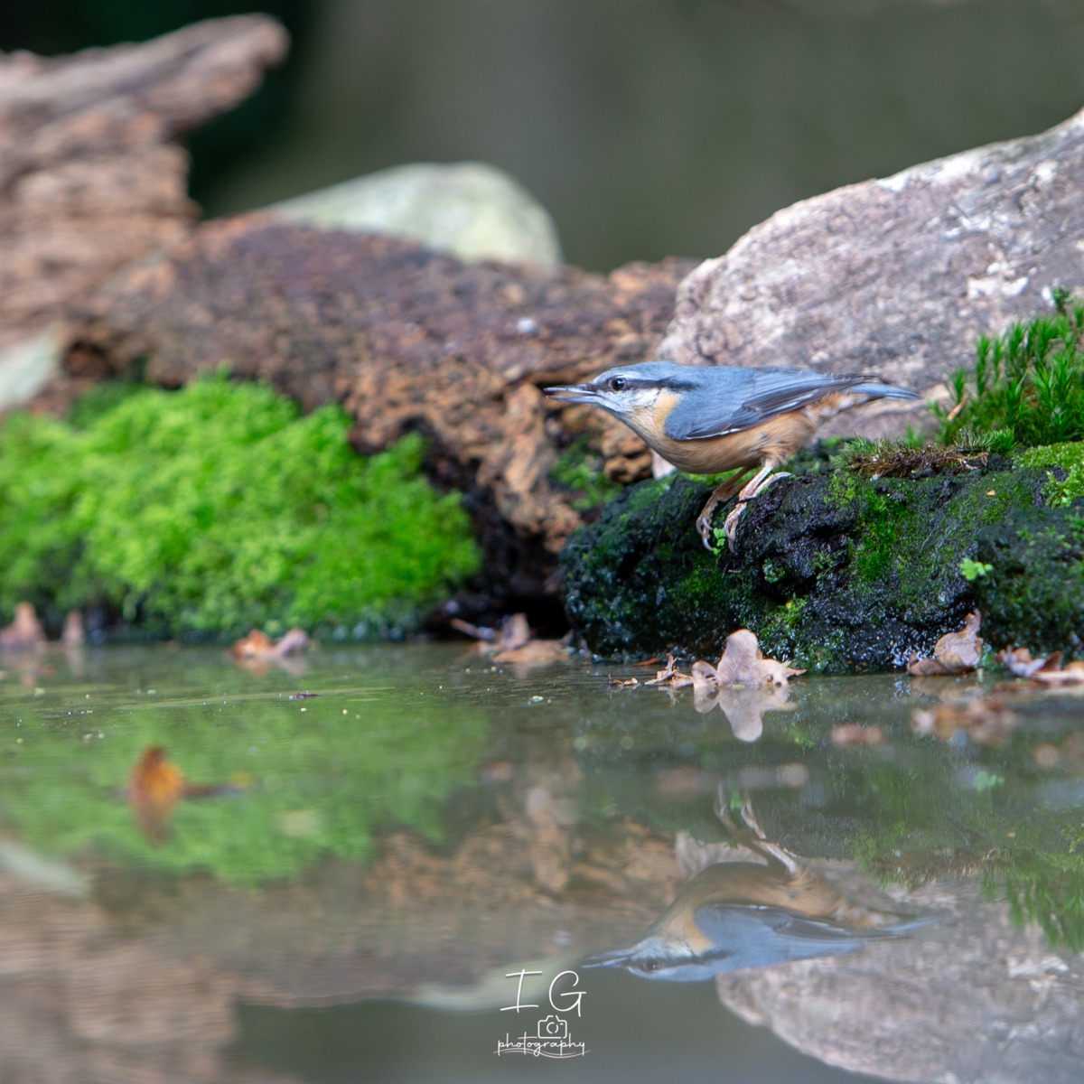  1DX9686 210927 15 41 55