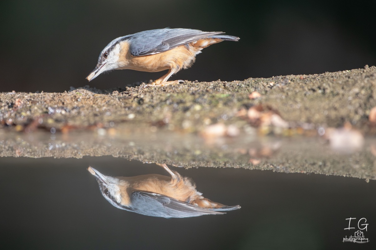  5D48240 210927 10 13 21