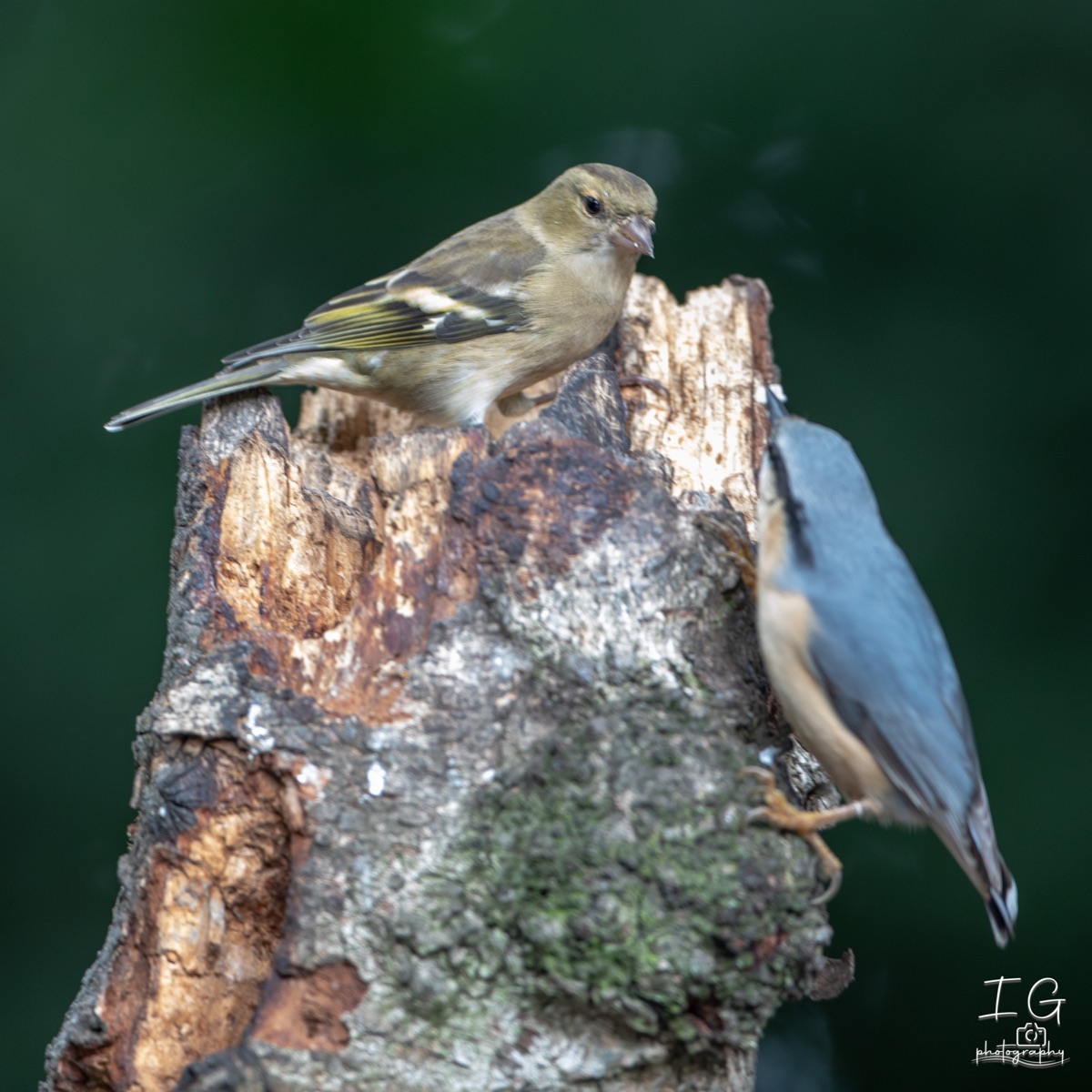  5D48663 210927 13 07 36