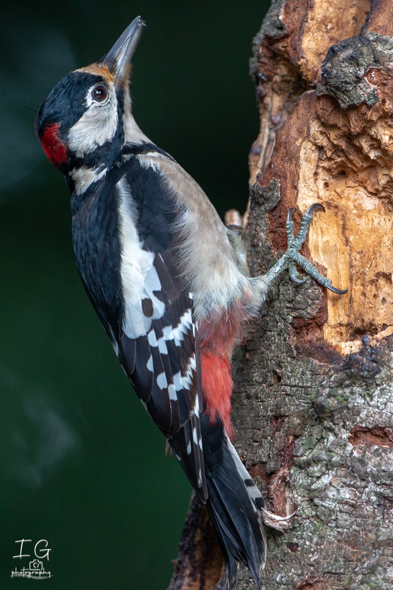  1DX9570 210927 13 21 29