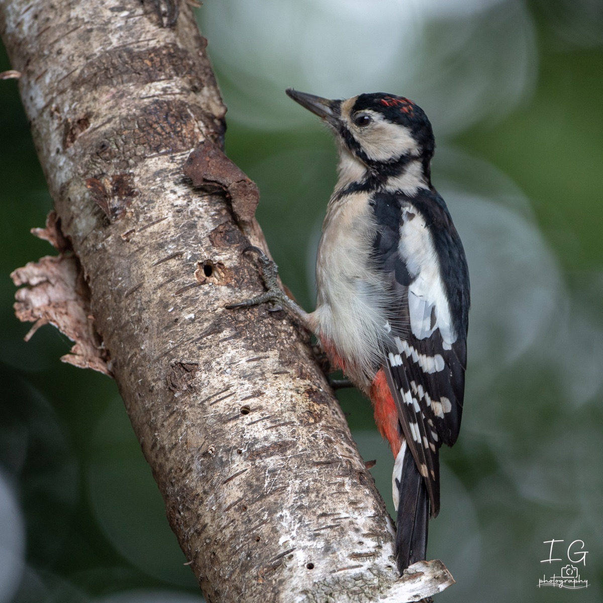  5D48703 210927 14 38 51