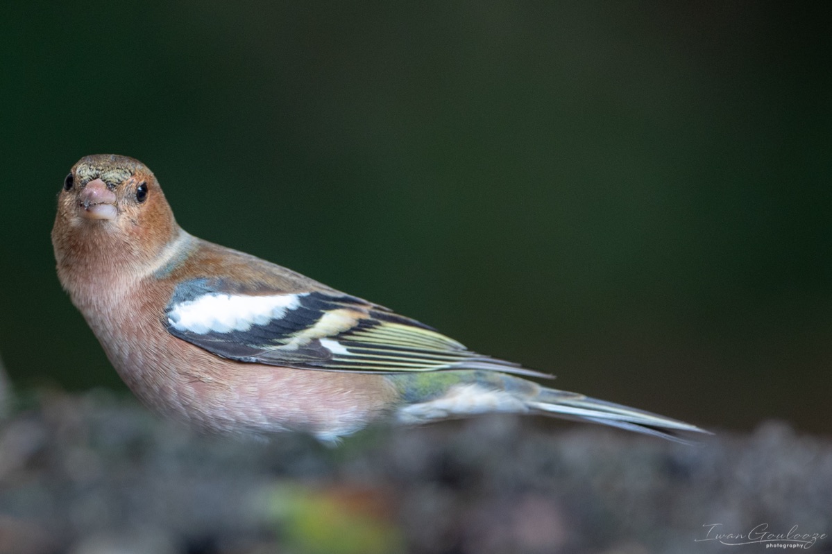  5D48286 210927 10 21 37