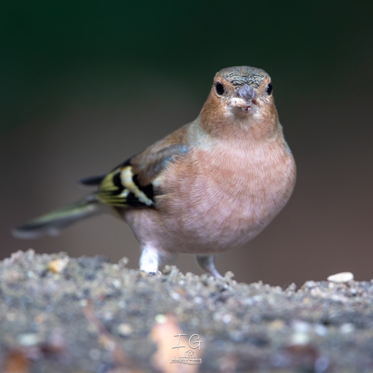  5D48740 210927 14 52 39