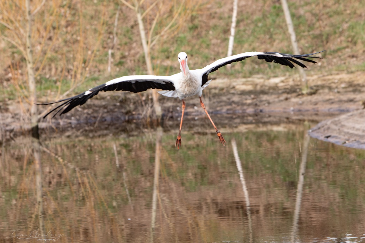 2Y6A7367 210306 11 09 36