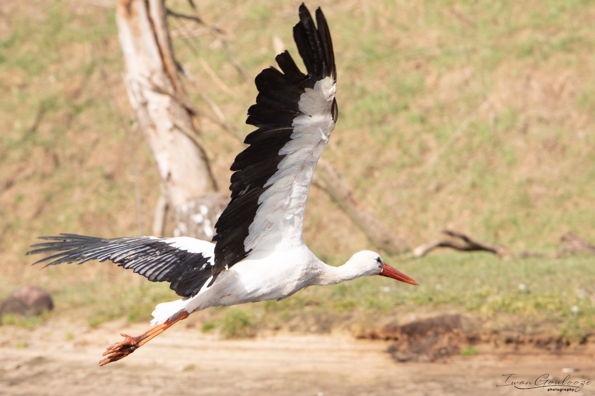 2Y6A7400 210306 11 11 32