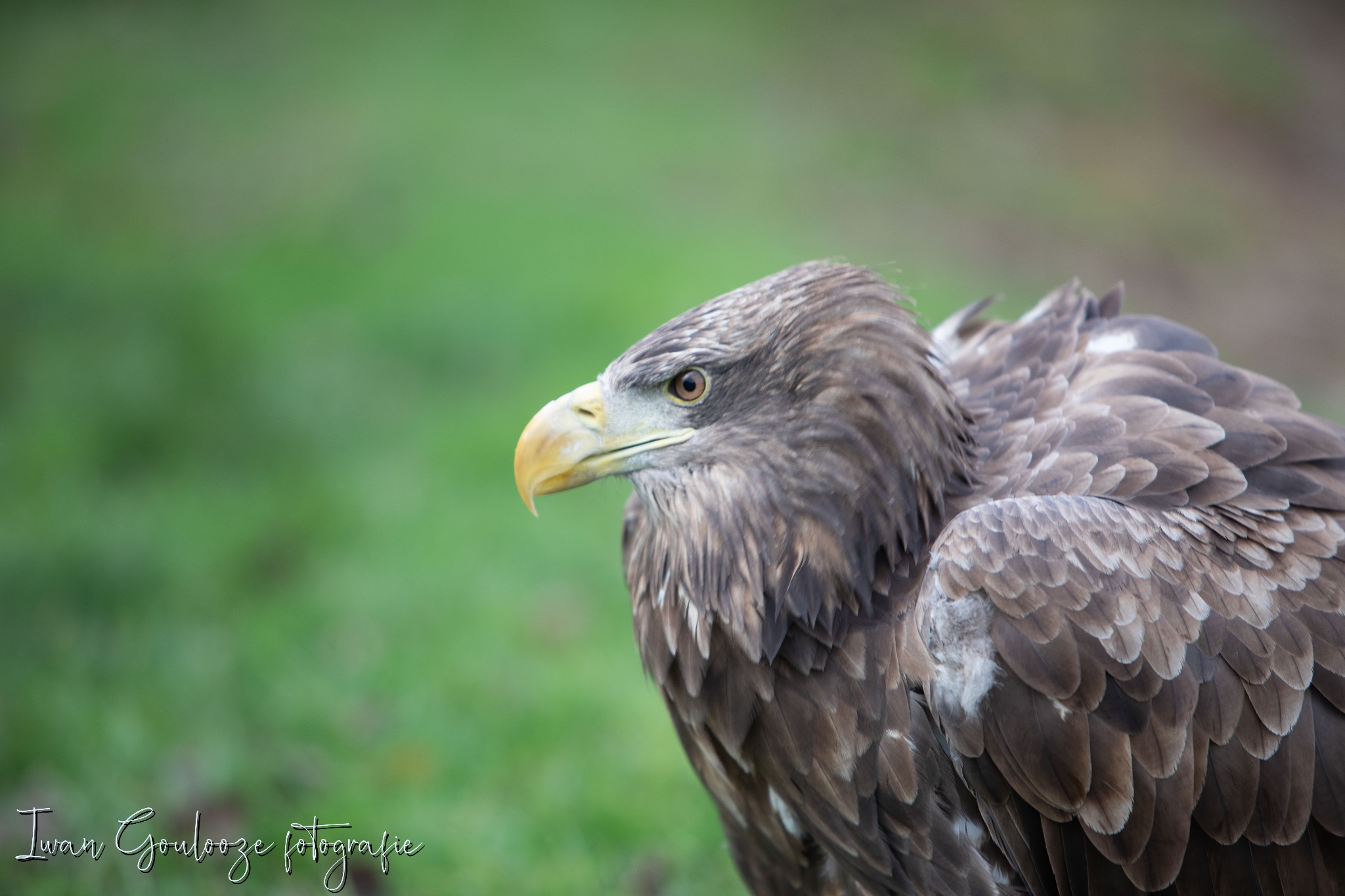 2Y6A2189 201204 12 34 28