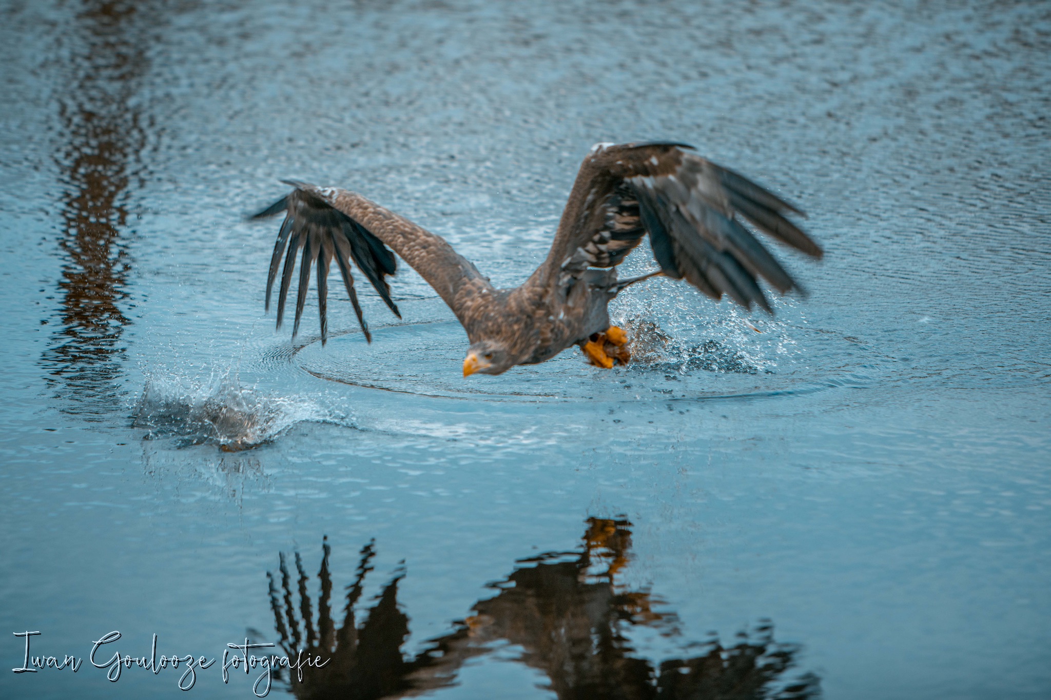 2Y6A2261 201204 12 39 45