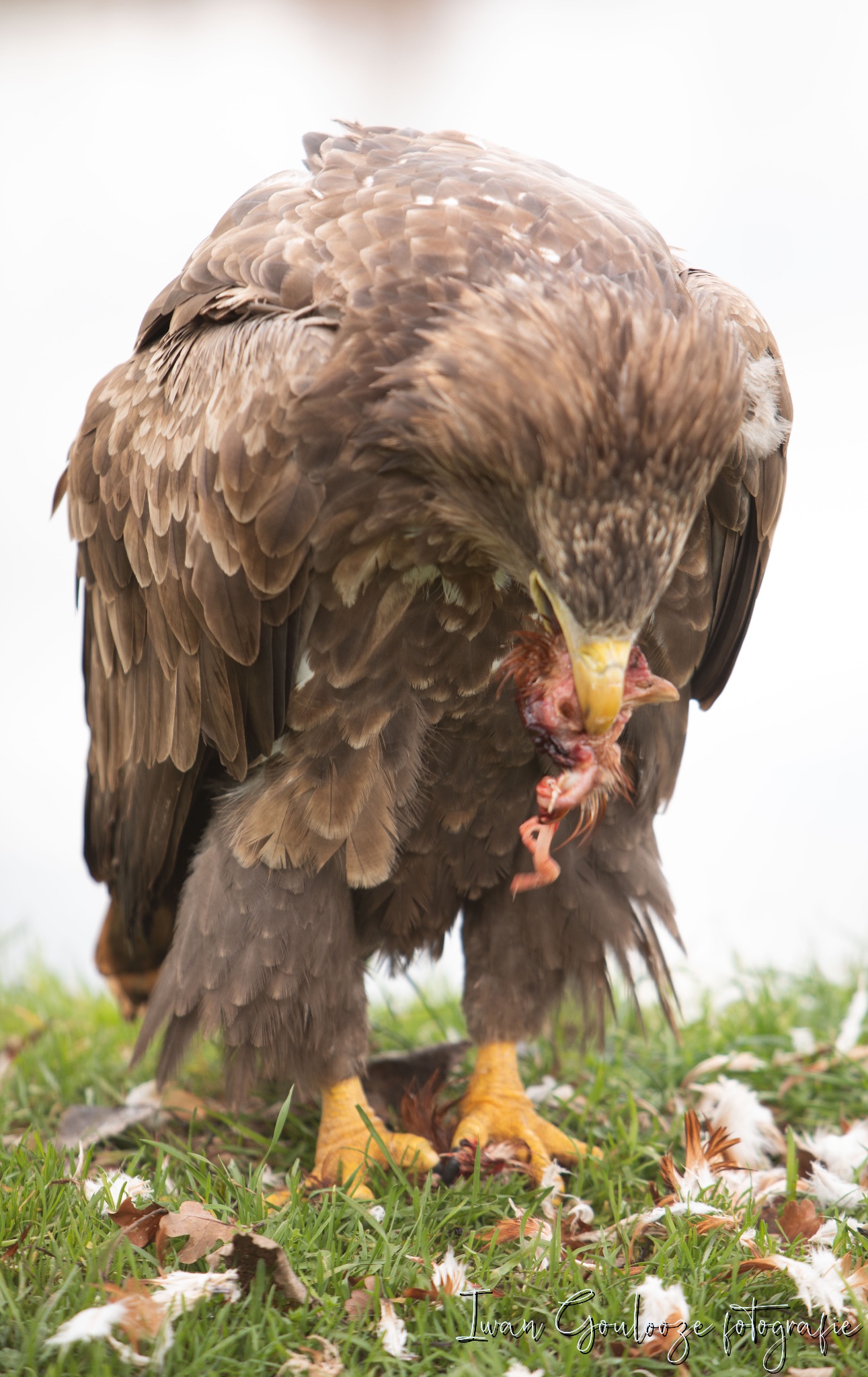 2Y6A2278 201204 12 43 42