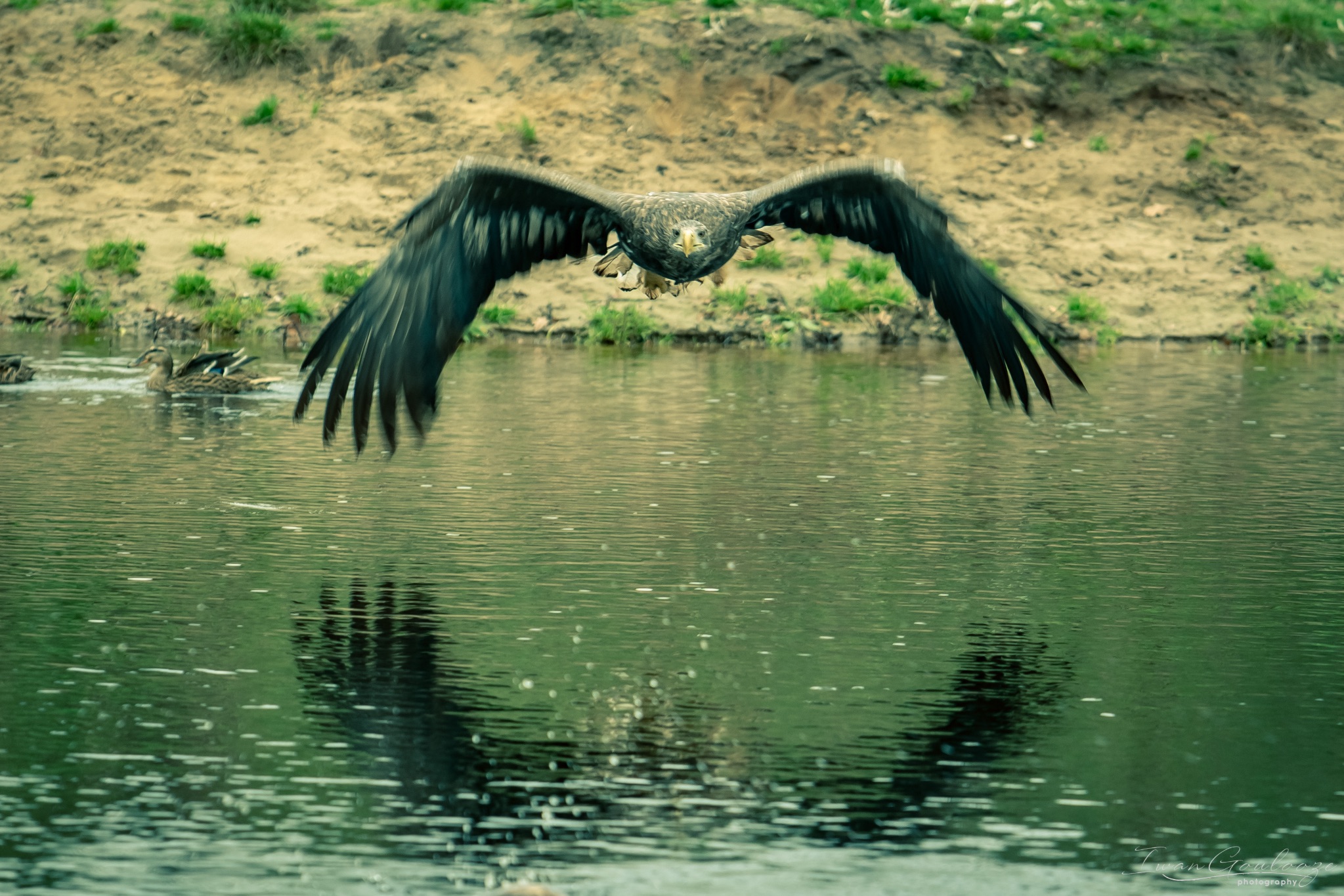 2Y6A2309 201204 12 45 271