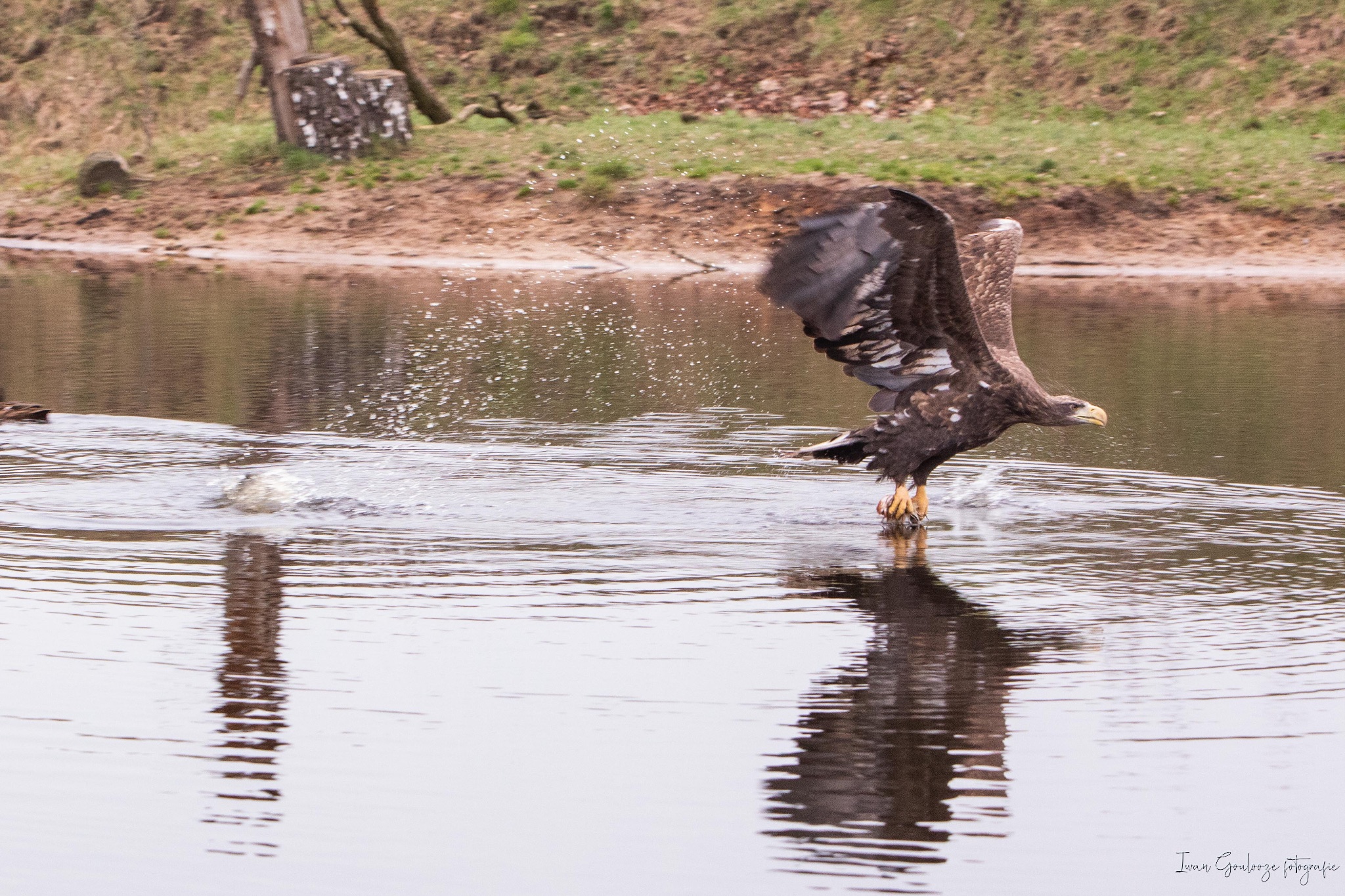 2Y6A4040 210116 12 16 25