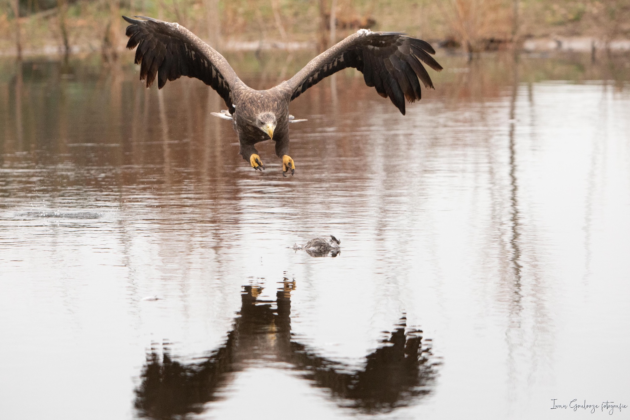 2Y6A4077 210116 12 19 46