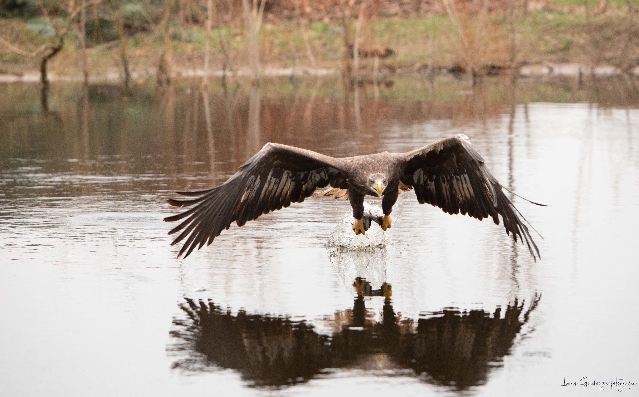 2Y6A4079 210116 12 19 47