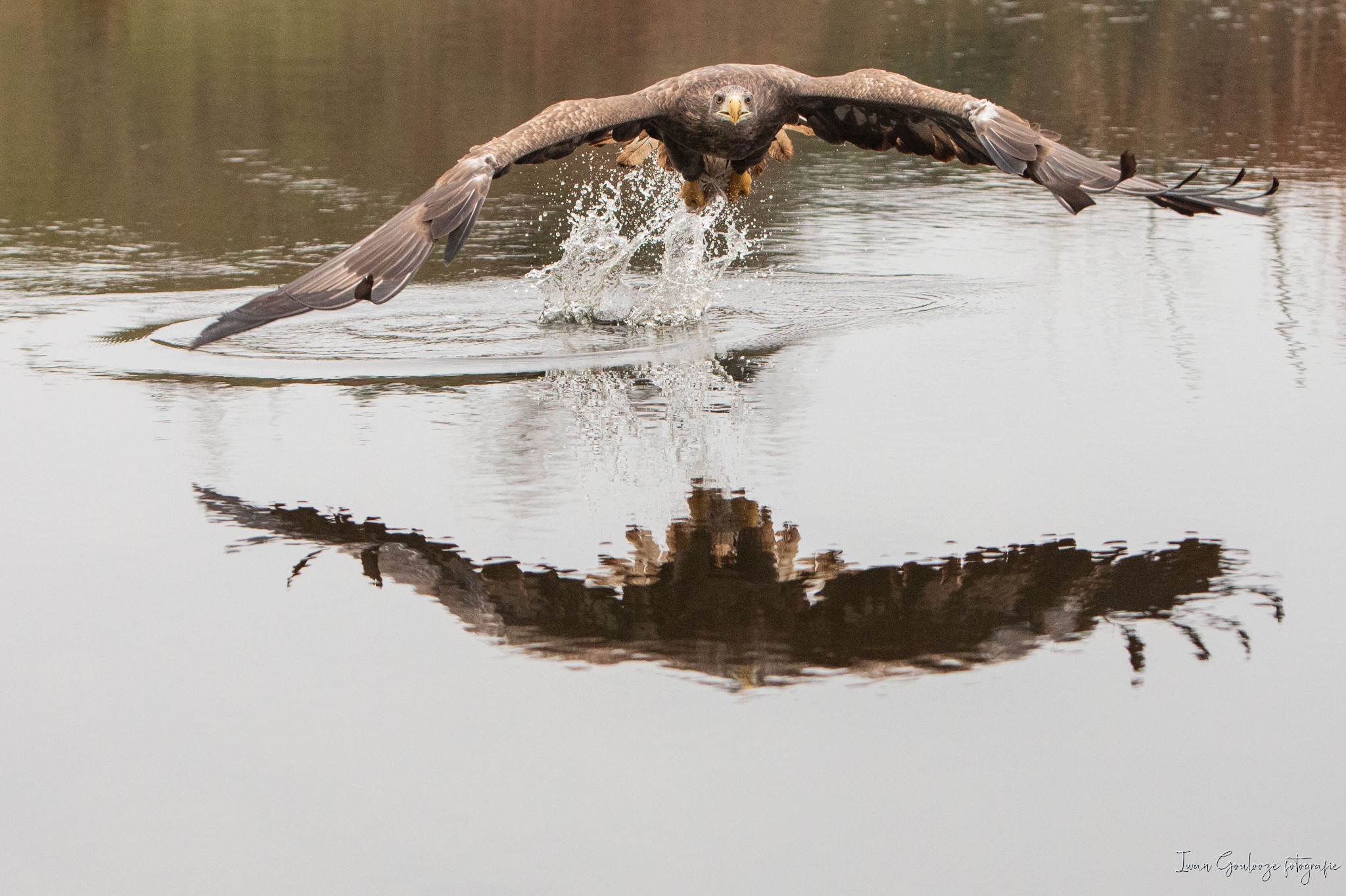 2Y6A4104 210116 12 23 34