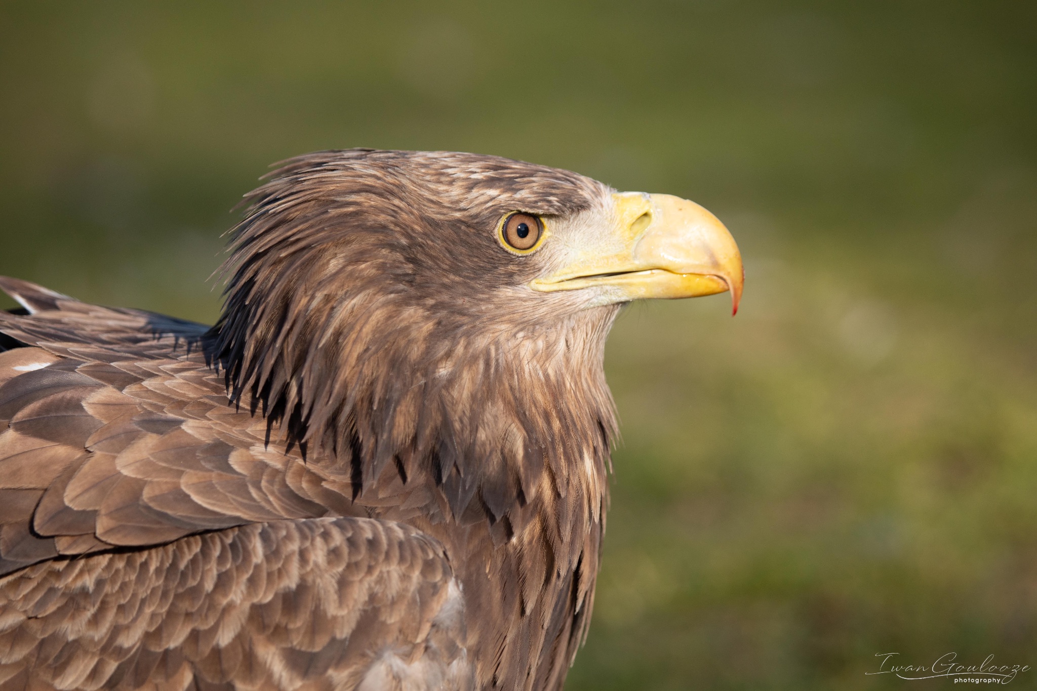 2Y6A5975 210227 15 32 36