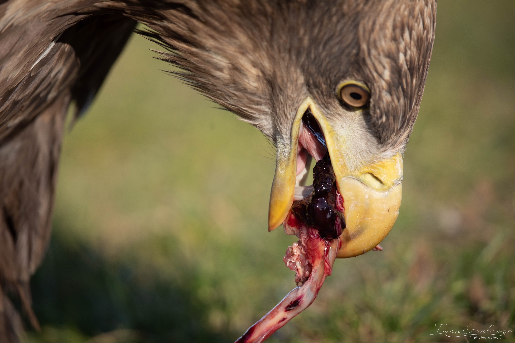 2Y6A5986 210227 15 32 54