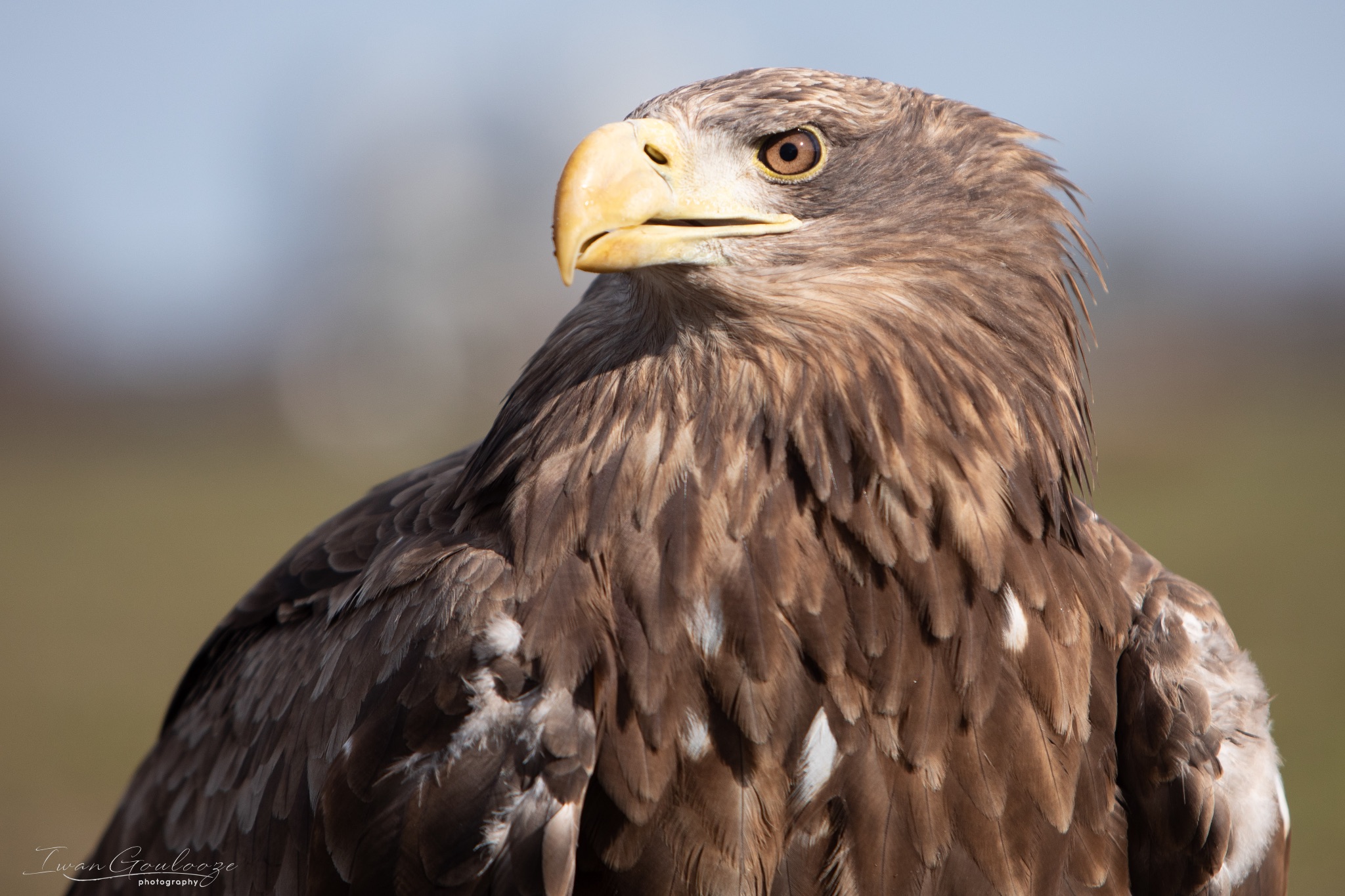 2Y6A7556 210306 11 39 22