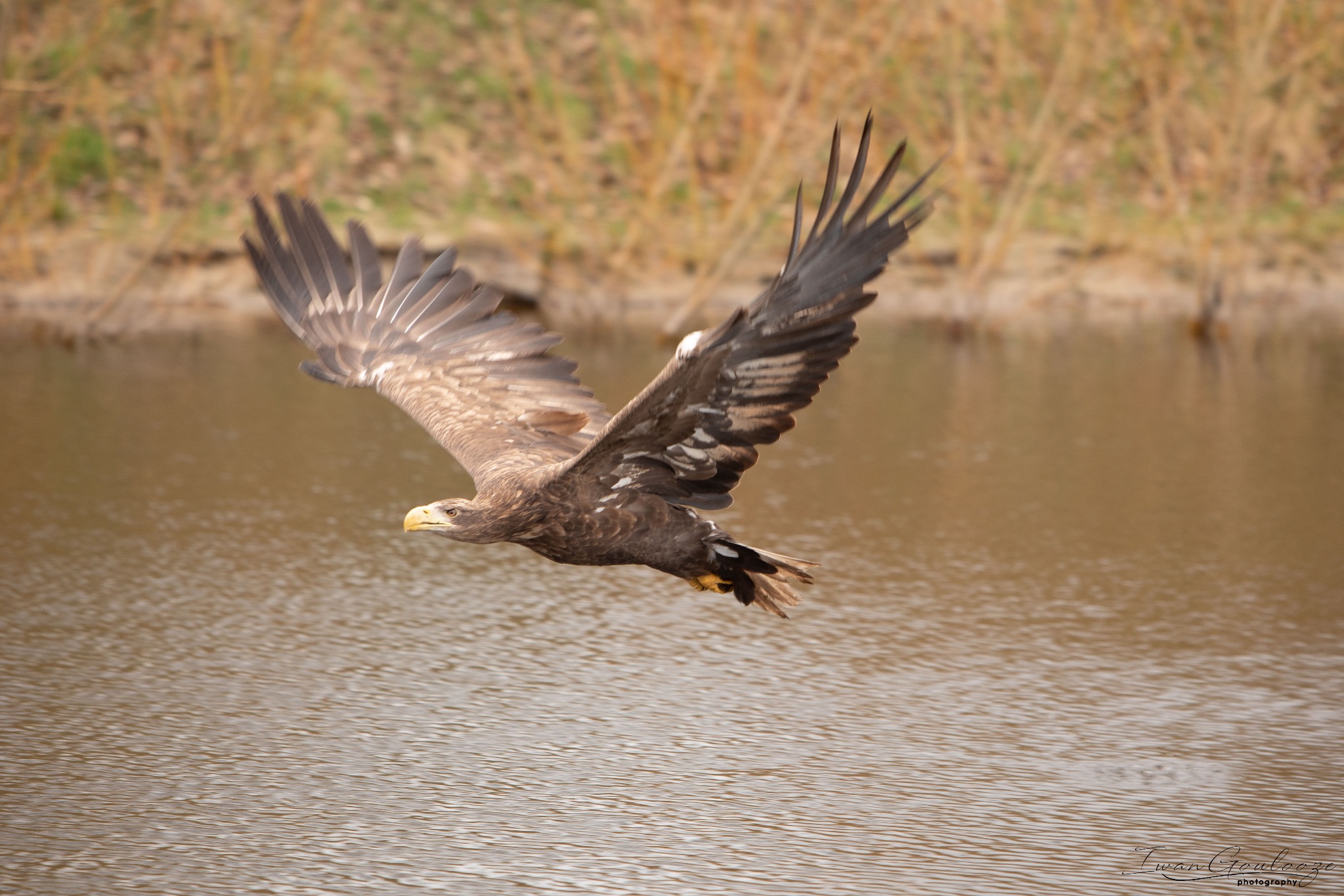 2Y6A8851 210317 11 31 30