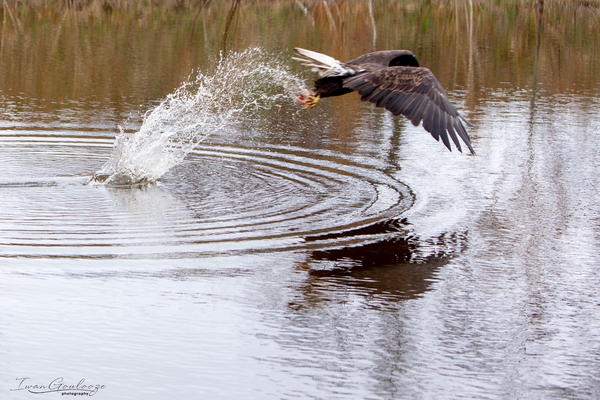 2Y6A8924 210317 11 58 52