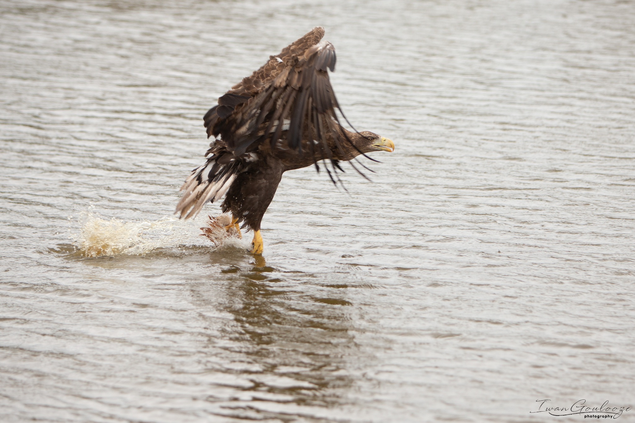  1DX2445 210410 15 33 37