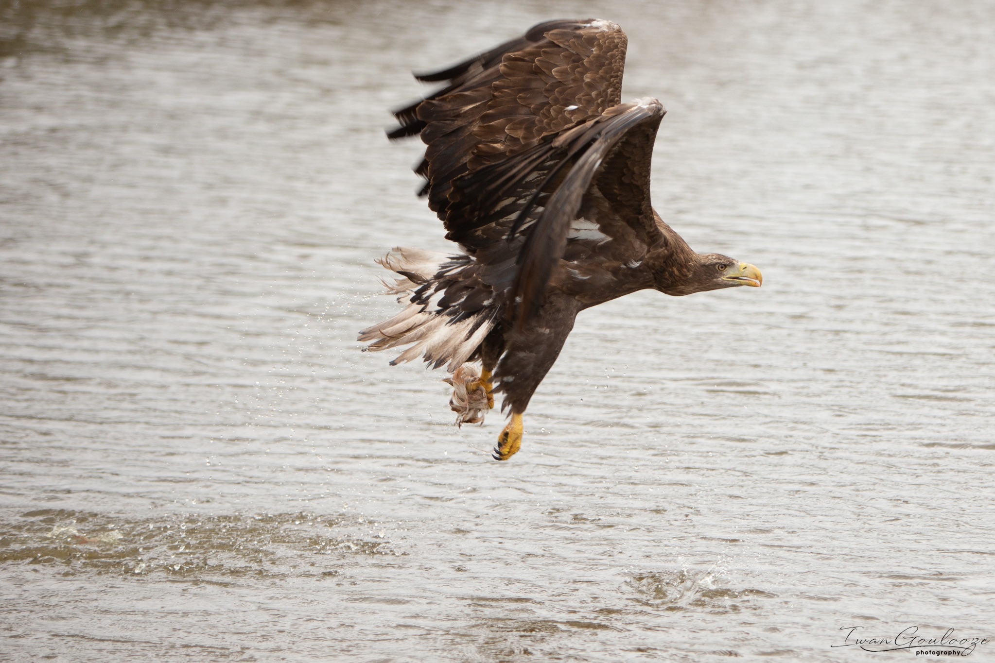  1DX2449 210410 15 33 38